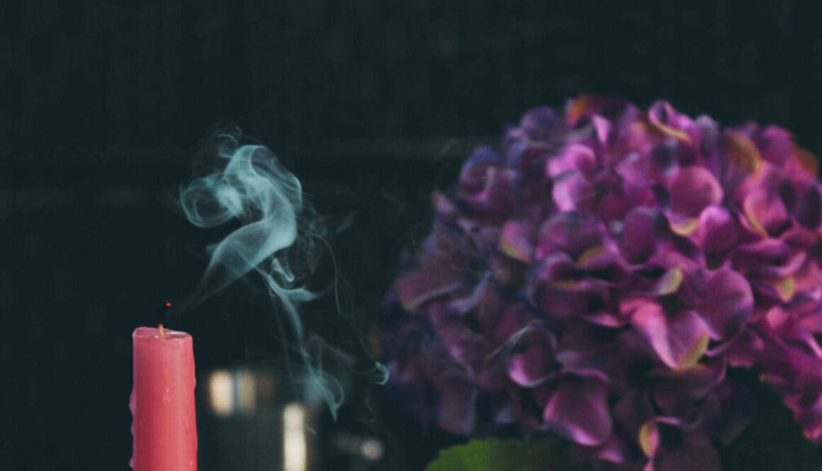 candle-blossom candle-blossom