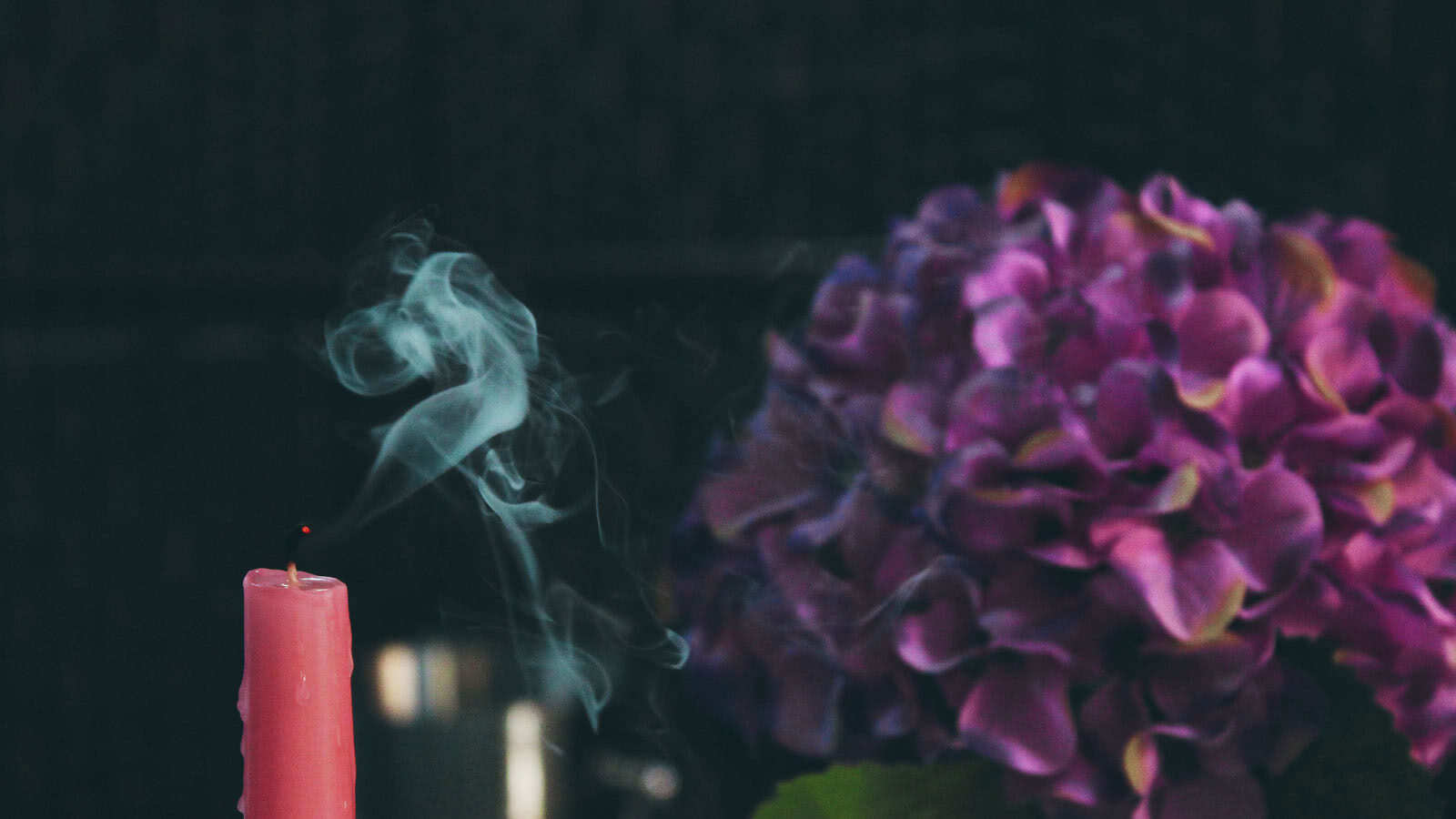 candle-blossom candle-blossom